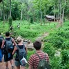 Cambodia earns over 25 million USD from ecotourism in nine months