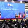Vietnam performs better than expected as ASEAN Chair: expert