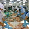 Vietnam needs seafood solutions
