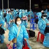 Nearly 280 Vietnamese citizens repatriated from Europe
