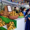 Muong Khuong mandarin week opens in Hanoi
