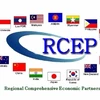 Businesses advised to improve knowledge to optimize chances from RCEP