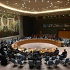Vietnam, Indonesia condemn violence in Somalia 