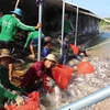 Vietnam, India seek to promote fishery cooperation 