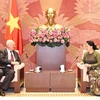 Vietnam-Russia parliamentary ties enjoy positive progress: top legislator 