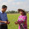 Tra Vinh takes measures to deal with drought, saltwater intrusion 