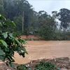 Four killed, two missing as flash floods hit Central Highlands, South Central regions