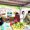 Yen Bai's agricultural and aquatic products introduced in Hanoi