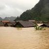 USAID-supported projects to help Vietnam reduce impact of natural disasters