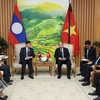 Vietnam, Laos determined to foster comprehensive cooperation