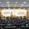 Da Nang looking to fuel economic growth