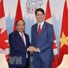 Vietnam, Canada maintain positive momentum in bilateral relations