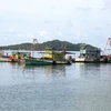 Kien Giang invests over 28 mln USD in fishing infrastructure