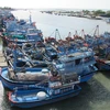 Vietnam makes progress in fight against IUU fishing 