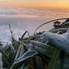 New cold spell to hit northern and central regions 