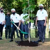 Malaysia PM launches tree planting campaign