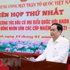 Vietnam Fatherland Front to uphold consultation role in general election