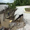 Ben Tre inaugurates sea dyke to prevent saline intrusion