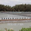 Tra Vinh to expand aquaculture area by 2,500 hectares to 2030