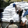 Over 1,127 tonnes of rice aid heading to Quang Binh for Tet