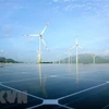 Quang Tri: Wind power projects worth over 250 million USD given go-ahead