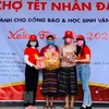 Vietnam Red Cross helping people hit by pandemic, disasters