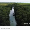 VNAT’s video clip promotes Vietnam’s natural beauty