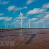 Hapaco eyes investment in 4-trillion-VND wind power project