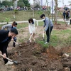 Provinces launch tree planting festival to support 1 billion tree programme