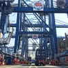Tan Cang-Cat Lai Port welcomes six vessels 