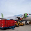 Bamboo Airways provides free transport of medical equipment to Hai Duong