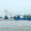 Ba Ria-Vung Tau to get tougher on illegal fishing in foreign waters