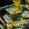 Kien Giang: 12.7 trillion VND for marine aquaculture