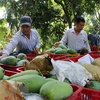 Trade surplus from agro-forestry-fisheries hit 1.37 billion USD in two months