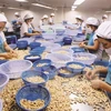 US - largest agro-forestry-fishery importer of Vietnam in Jan-Feb