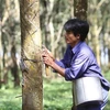 Rubber companies set lower profit targets for 2021