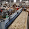 Binh Duong tops wood export nationwide