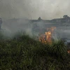 Indonesia sees sharp decline in deforestation last year