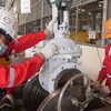 PetroVietnam maintains good operation in first two months