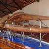 Largest whale skeleton on display in Binh Thuan