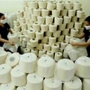 Anti-dumping investigation into polyester filament yarn extended