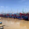Binh Dinh: All fishing ships must obtain food safety certificates by end of June