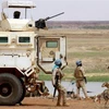 Vietnam calls for more efforts for peace in Mali