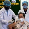 WHO warns Cambodia on brink of “national tragedy”