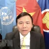 Vietnam voices concerns over escalating violence in Yemen