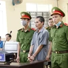Ca Mau man jailed for brokering illegal entry to Vietnam