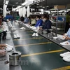 Vietnamese businesses look to further optimise opportunities from CPTPP