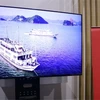 Television brands find Vietnamese market tough going