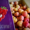 Efforts underway to export 100 tonnes of lychees to Australia