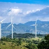 Eight wind power plants in Soc Trang to be finished by October